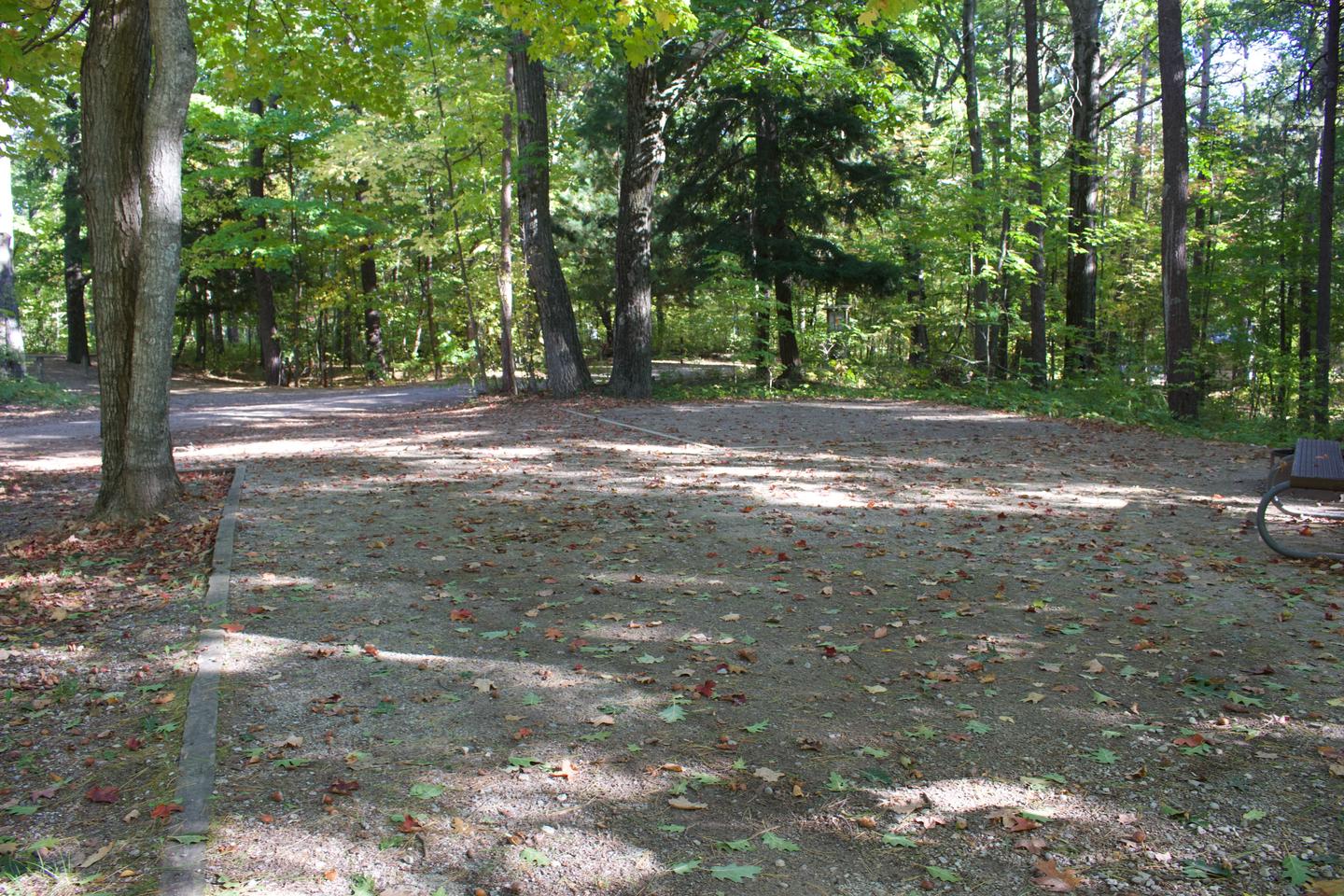 Campsite #77, view from the site toward the road