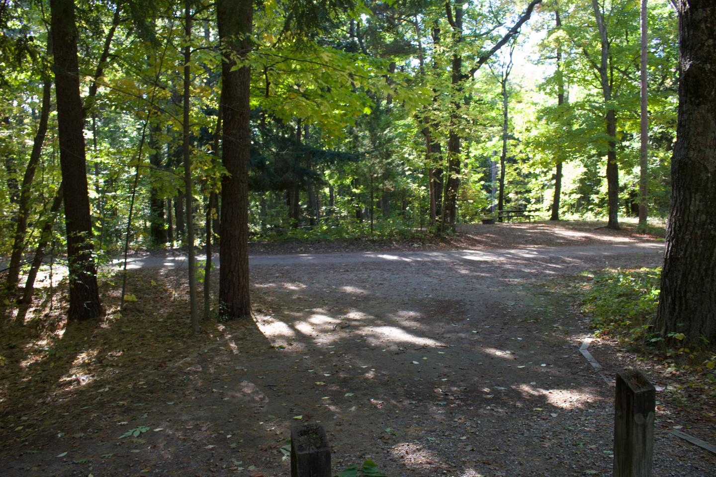 Campsite #78, view from the walk-up toward the road