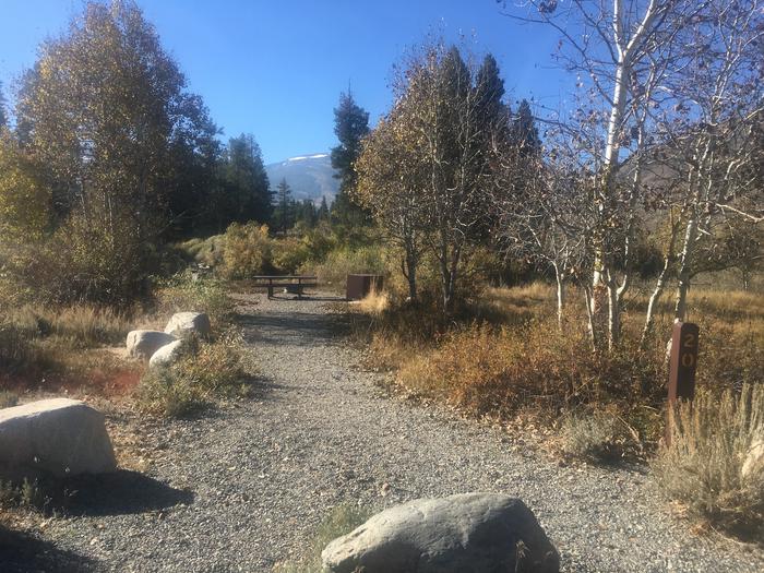 A photo of Site 020 of Loop NORTH at HONEYMOON FLAT with Picnic Table, Fire Pit, Shade, Food Storage, Tent Pad, Waterfront
Tent only 