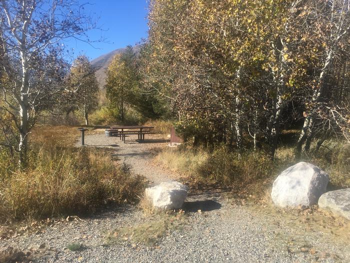 A photo of Site 019 of Loop NORTH at HONEYMOON FLAT with Picnic Table, Fire Pit, Shade, Food Storage, Tent Pad, Waterfront
Tent only 