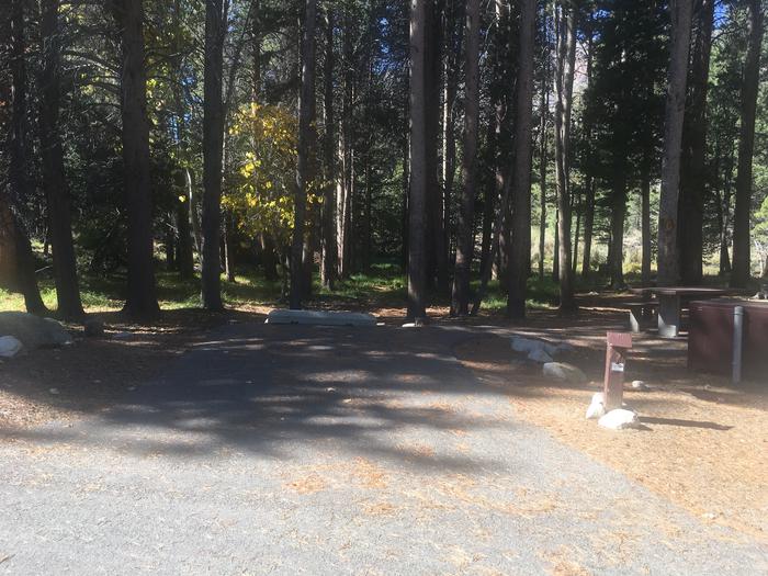 A photo of Site 007 of Loop ROBI at ROBINSON CREEK SOUTH with Picnic Table, Fire Pit, Shade, Food Storage, Tent Pad, Waterfront
Small parking pad- site is best for tent camping or small camper 
