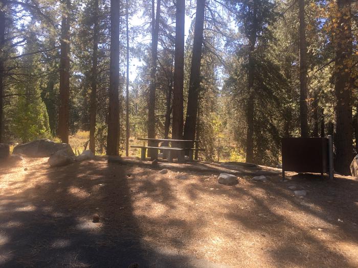 A photo of Site 008 of Loop ROBI at ROBINSON CREEK SOUTH with Picnic Table, Fire Pit, Shade, Food Storage, Tent Pad, Waterfront
Tent camping 