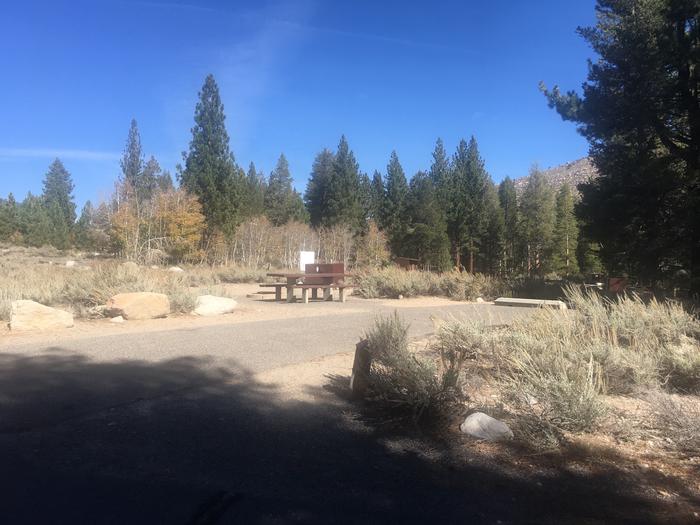 A photo of Site 018 of Loop ROBI at ROBINSON CREEK SOUTH with Picnic Table, Fire Pit, Food Storage, Tent Pad