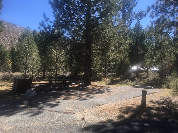 A photo of Site 049 of Loop ROBI at ROBINSON CREEK NORTH with Picnic Table, Fire Pit, Shade, Food Storage, Tent Pad