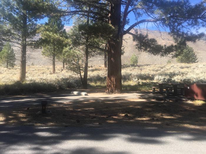 A photo of Site 051 of Loop ROBI at ROBINSON CREEK NORTH with Picnic Table, Fire Pit, Shade, Food Storage, Tent Pad