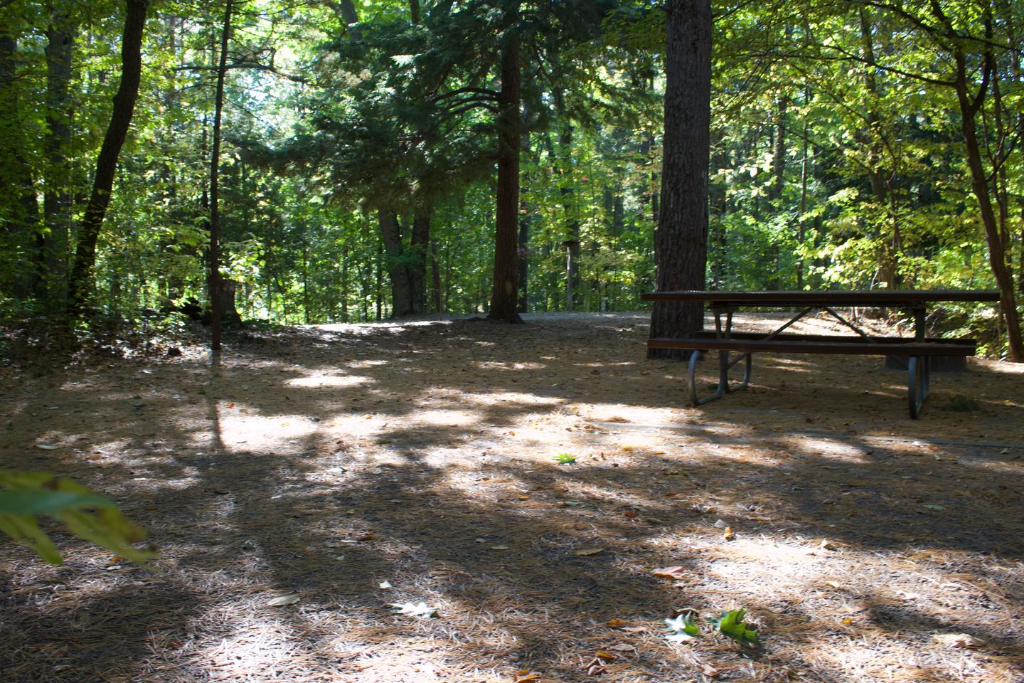 Campsite #79, view from the extra tent space toward the site
