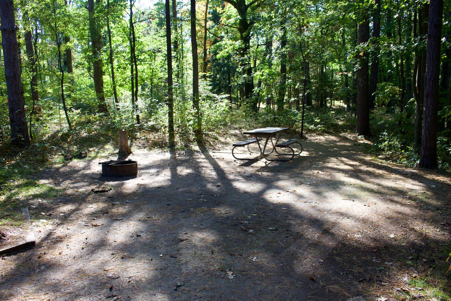 Campsite #80, view from the tent pad toward the site