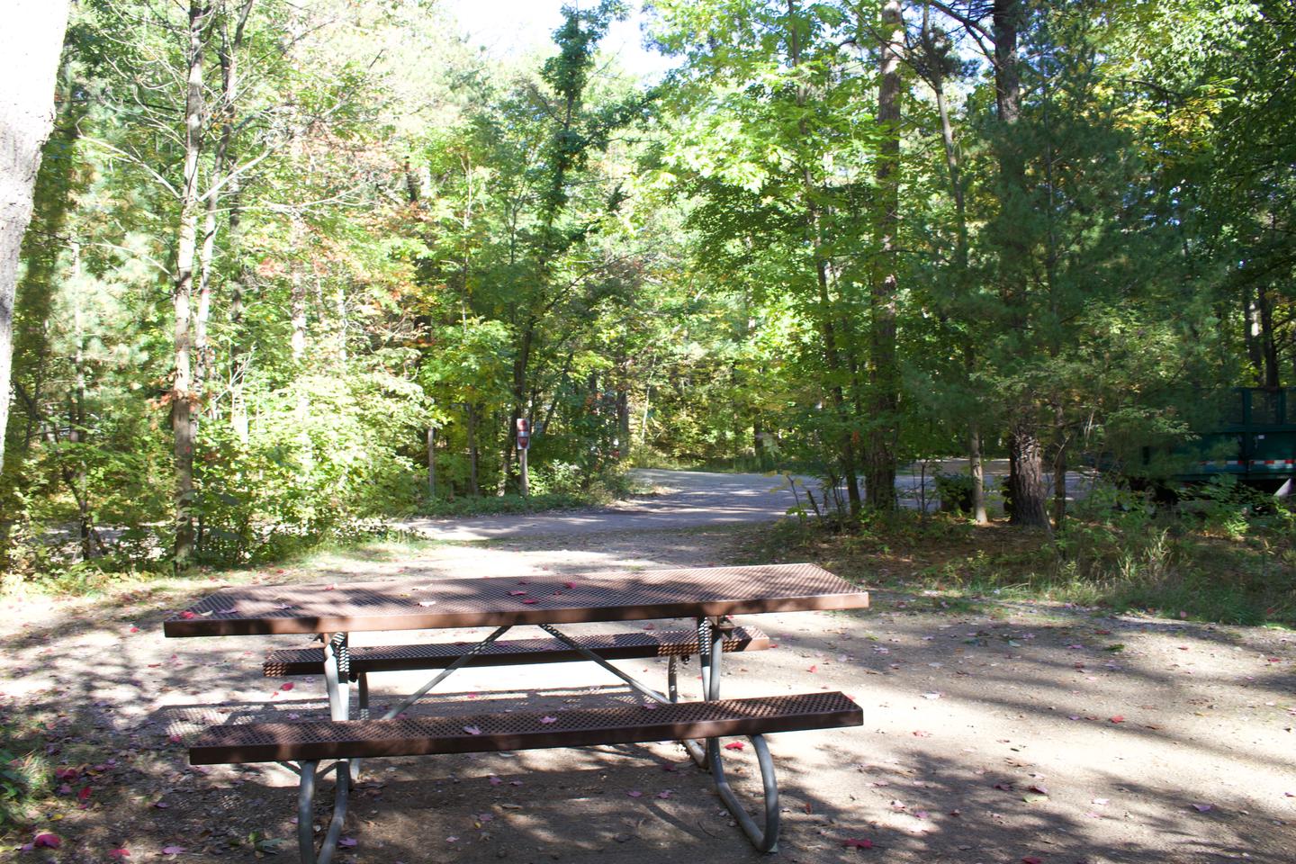 Campsite #81, view from the site toward the road