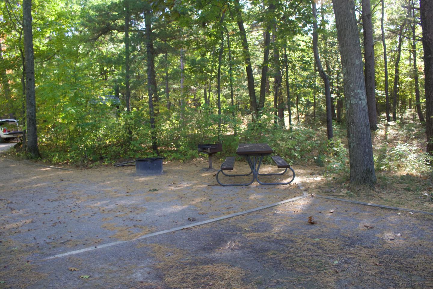 Campsite #85, view from the tent pad toward the site