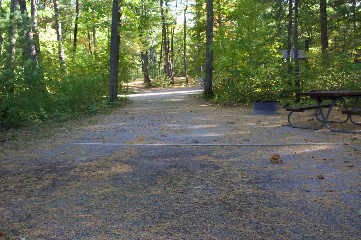 Campsite #85, view from the tent pad toward the road
