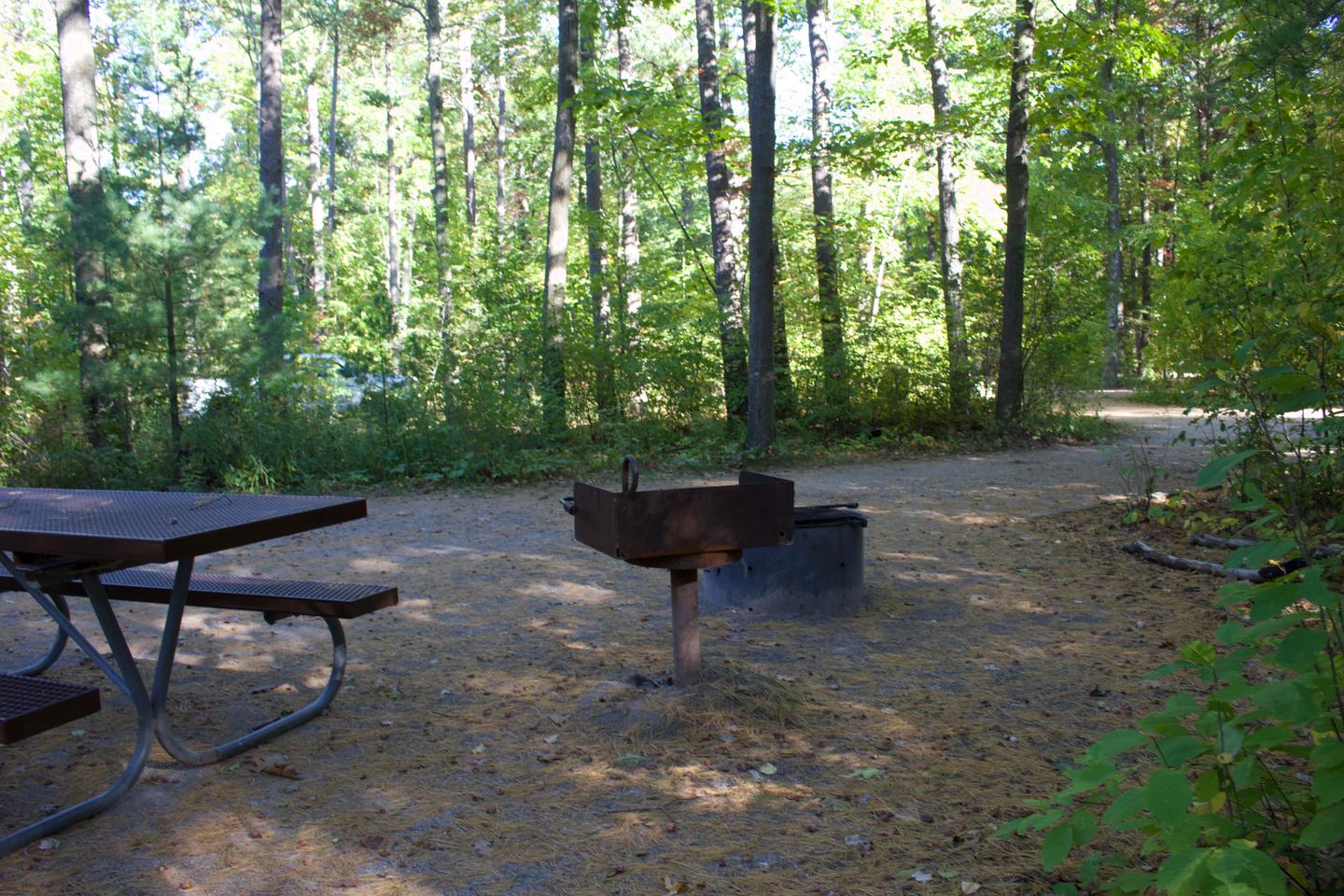Campsite #85, view from the site toward the road