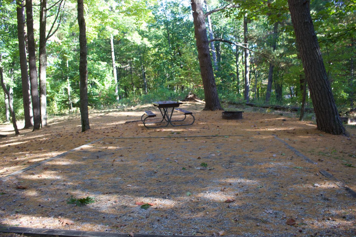 Campsite #87, view from the tent pad toward the site