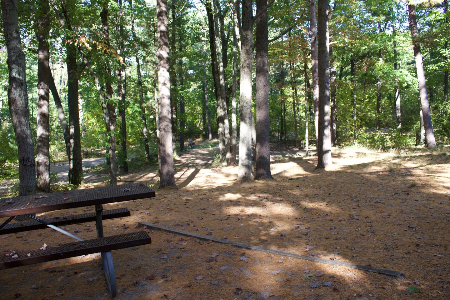 Campsite #87, view from the site toward the road