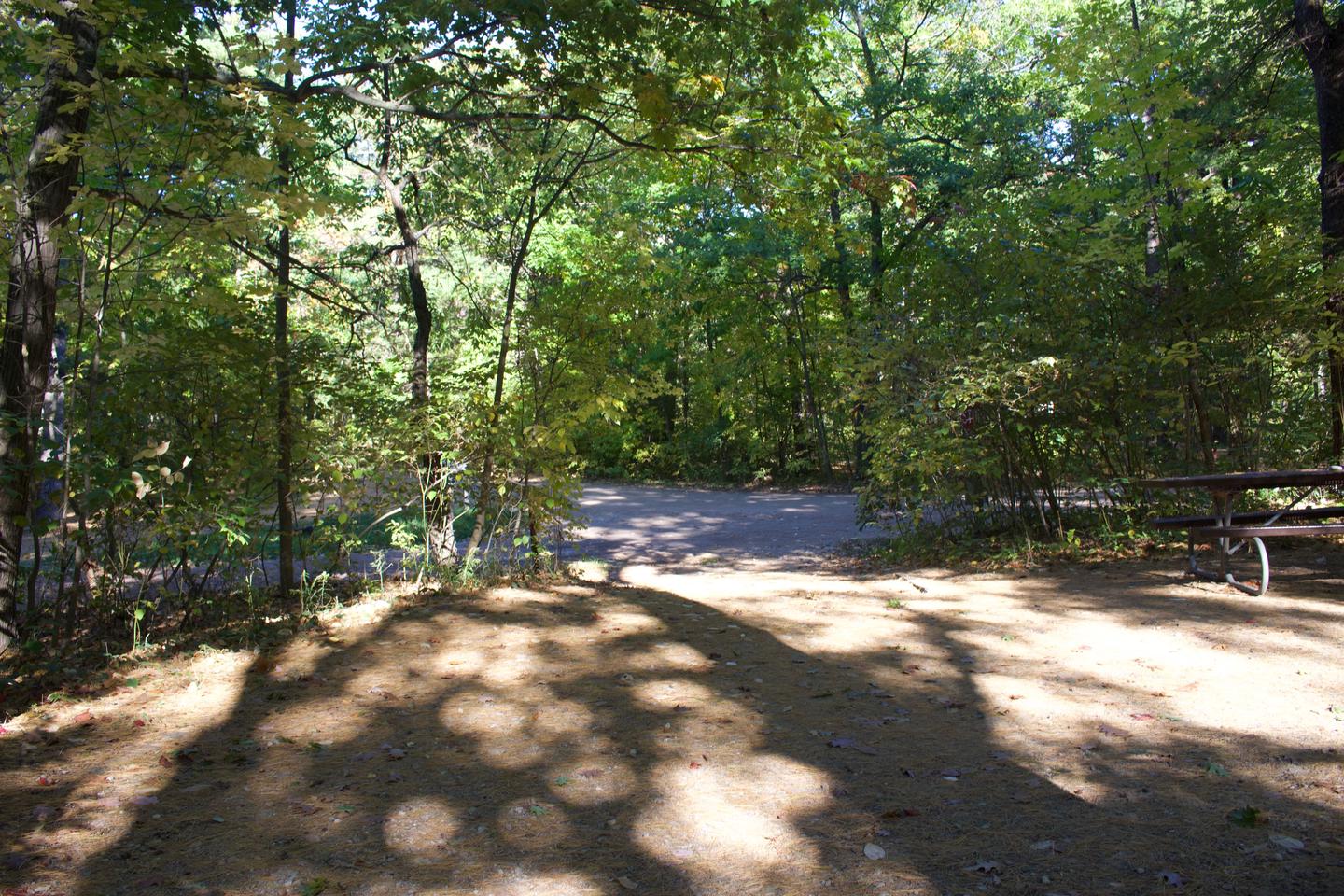 Campsite #89, view from the site toward the road