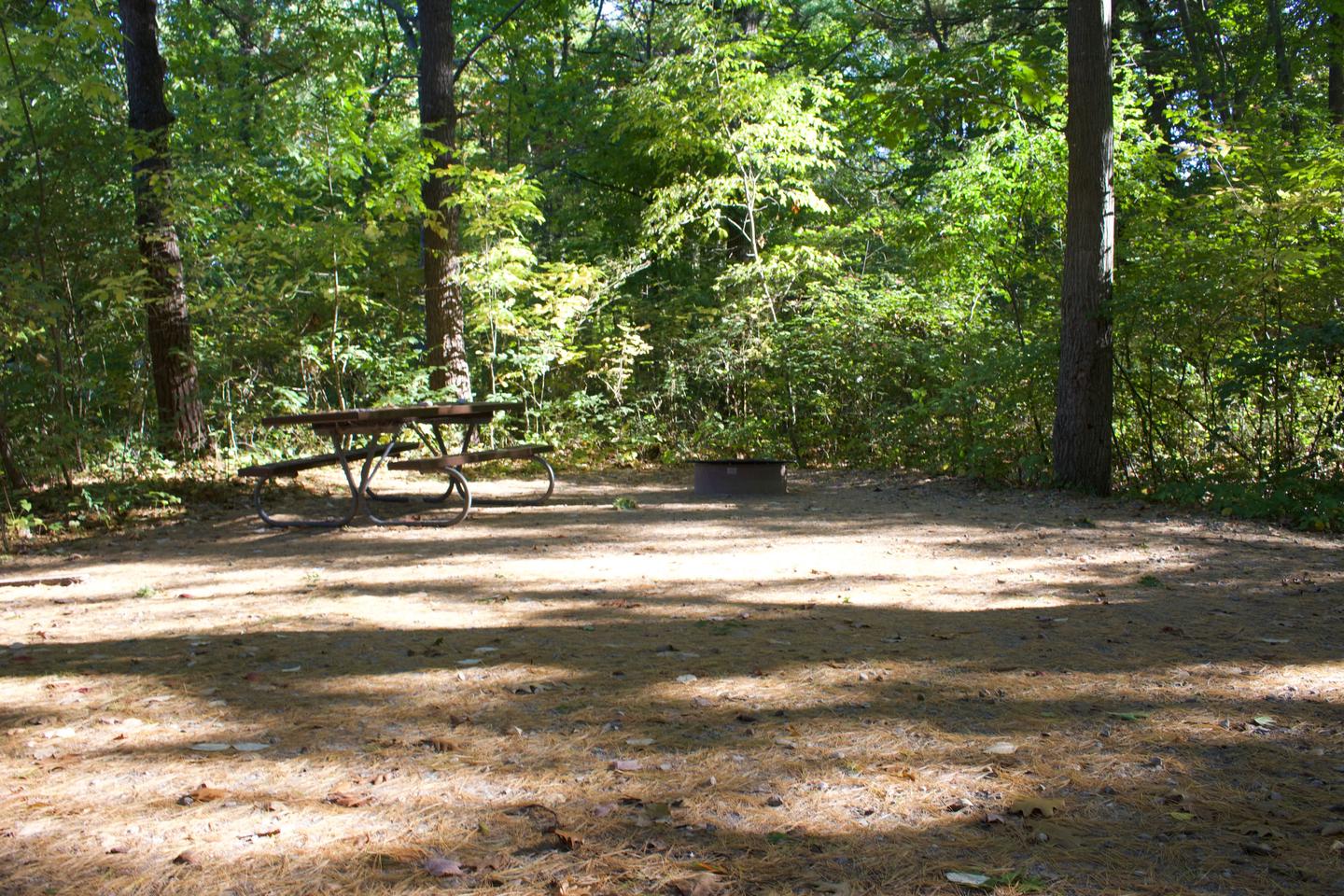 Campsite #89, view from the parking toward the site