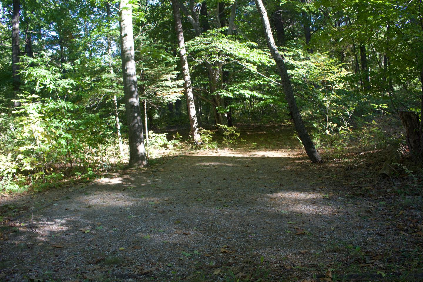 Campsite #89, view of the tent pad toward the road