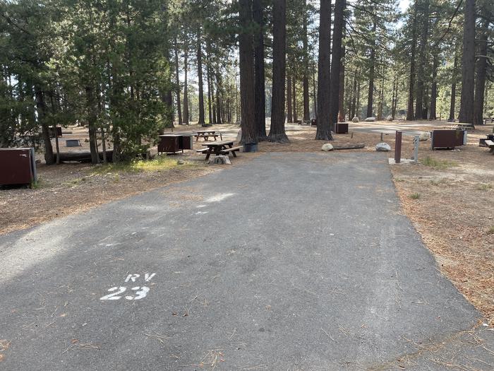 RV site 23 situated under tall evergreen trees with paved parking pad and fire ring. No pets banner.A photo of Site RV 23 of Loop Long Inner Loop at Meeks Bay Resort with Fire Pit, Food Storage, Full Hookup