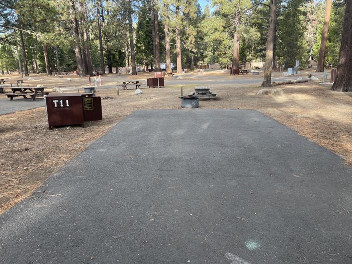 RV site 23 situated under tall evergreen trees with paved parking pad and fire ring. No pets banner.A photo of Site Tent 11 of Loop Outer Camp Loop at Meeks Bay Resort with Picnic Table, Fire Pit, Food Storage