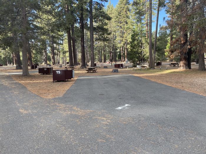 RV site 23 situated under tall evergreen trees with paved parking pad and fire ring. No pets banner.A photo of Site Tent 5 of Loop Outer Camp Loop at Meeks Bay Resort with Picnic Table, Fire Pit, Shade, Food Storage, Tent Pad