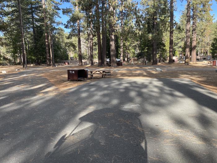 RV site 23 situated under tall evergreen trees with paved parking pad and fire ring. No pets banner.A photo of Site Tent 14 of Loop Outer Camp Loop at Meeks Bay Resort with Picnic Table, Fire Pit, Food Storage, Tent Pad