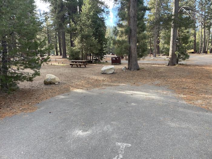 RV site 23 situated under tall evergreen trees with paved parking pad and fire ring. No pets banner.A photo of Site Tent 4 of Loop Outer Camp Loop at Meeks Bay Resort with Picnic Table, Fire Pit, Shade, Food Storage, Tent Pad