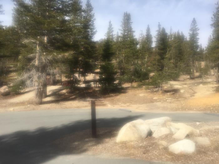 A photo of Site 003 of Loop Loop 1 at MOUNT ROSE (NV)  with Picnic Table, Fire Pit, Shade, Food Storage, Tent Pad