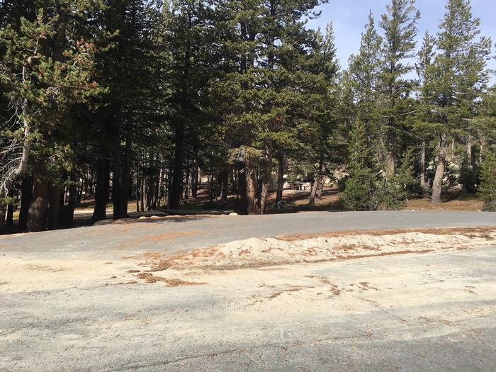 A photo of Site 008 of Loop Loop 2 at MOUNT ROSE (NV)  with Picnic Table, Fire Pit, Shade, Food Storage, Tent Pad
Pull through site