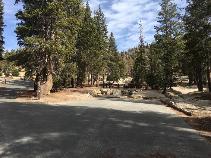 A photo of Site 007 of Loop Loop 2 at MOUNT ROSE (NV)  with Picnic Table, Fire Pit, Shade, Food Storage, Tent Pad
Triple site