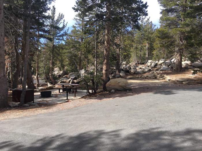 A photo of Site 005 of Loop Loop 2 at MOUNT ROSE (NV)  with Picnic Table, Fire Pit, Food Storage, Tent Pad