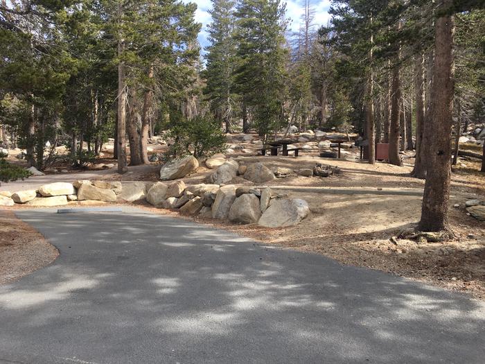 A photo of Site 016 of Loop Loop 2 at MOUNT ROSE (NV)  with Picnic Table, Fire Pit, Shade, Food Storage, Tent Pad
