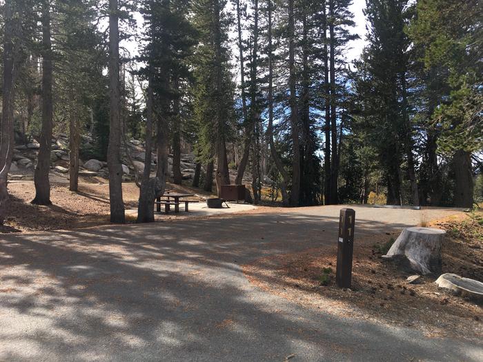 A photo of Site 011 of Loop Loop 2 at MOUNT ROSE (NV)  with Picnic Table, Fire Pit, Shade, Food Storage, Tent Pad