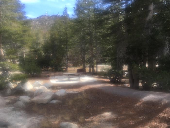 A photo of Site 004 of Loop Loop 1 at MOUNT ROSE (NV)  with Picnic Table, Fire Pit, Shade, Food Storage, Tent Pad