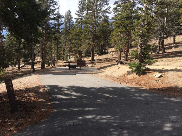 A photo of Site 021 of Loop Loop 1 at MOUNT ROSE (NV)  with Picnic Table, Fire Pit, Shade, Food Storage, Tent Pad