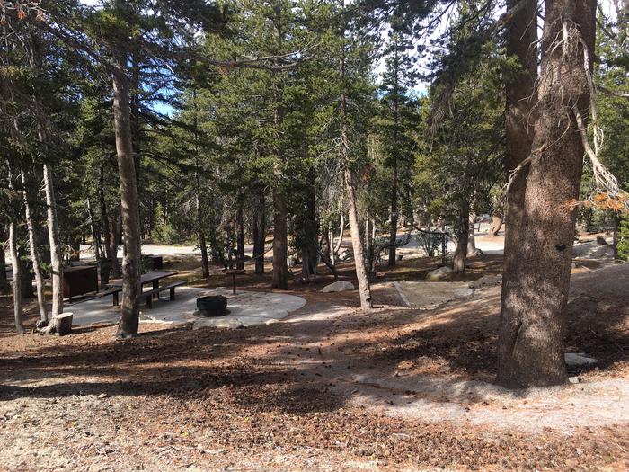A photo of Site 015 of Loop Loop 2 at MOUNT ROSE (NV)  with Picnic Table, Fire Pit, Shade, Food Storage, Tent Pad