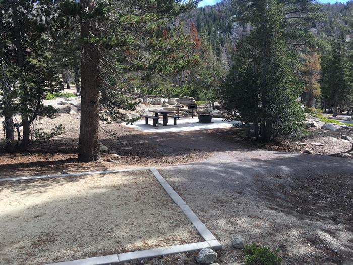 A photo of Site 020 of Loop Loop 1 at MOUNT ROSE (NV)  with Picnic Table, Fire Pit, Shade, Food Storage, Tent Pad