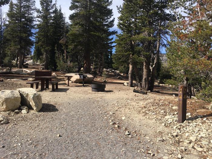 A photo of Site 024 of Loop Loop 1 at MOUNT ROSE (NV)  with Picnic Table, Fire Pit, Shade, Food Storage, Tent Pad
Walk to site 