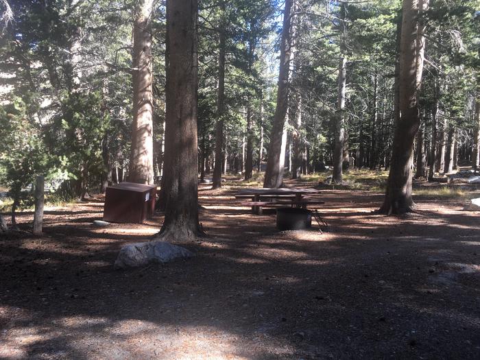 A photo of Site 007 of Loop TRUM at TRUMBULL LAKE with Picnic Table, Fire Pit, Shade, Food Storage, Tent Pad