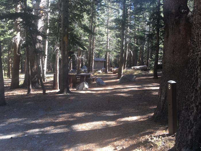 A photo of Site 008 of Loop TRUM at TRUMBULL LAKE with Picnic Table, Fire Pit, Shade, Food Storage, Tent Pad