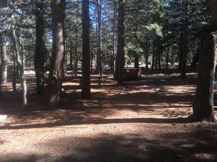 A photo of Site 039 of Loop TRUM at TRUMBULL LAKE with Picnic Table, Fire Pit, Shade, Food Storage, Tent Pad