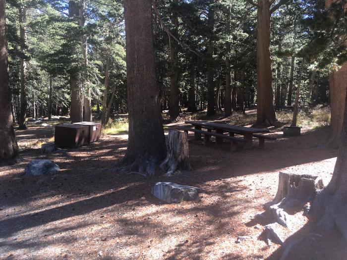 A photo of Site 006 of Loop BDBL at TRUMBULL LAKE with Picnic Table, Fire Pit, Shade, Food Storage, Tent Pad
Double site