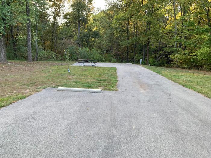 picnic table, fire pit, and extra parking to the left of camp pad, electric to the right of pad.