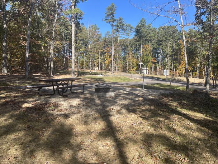 A photo of Site PO6 of Loop Pines Overlook at RED BLUFF CAMPGROUND with Picnic Table, Fire Pit, Lantern Pole