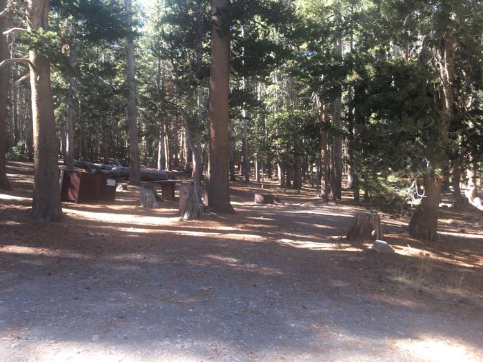 A photo of Site 042 of Loop TRUM at TRUMBULL LAKE with Picnic Table, Fire Pit, Shade, Food Storage, Tent Pad
