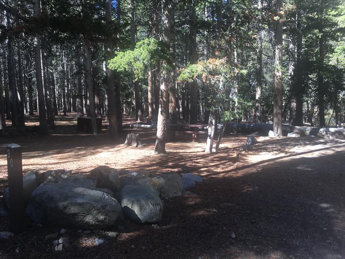 A photo of Site 030 of Loop TRUM at TRUMBULL LAKE with Picnic Table, Fire Pit, Shade, Food Storage, Tent Pad