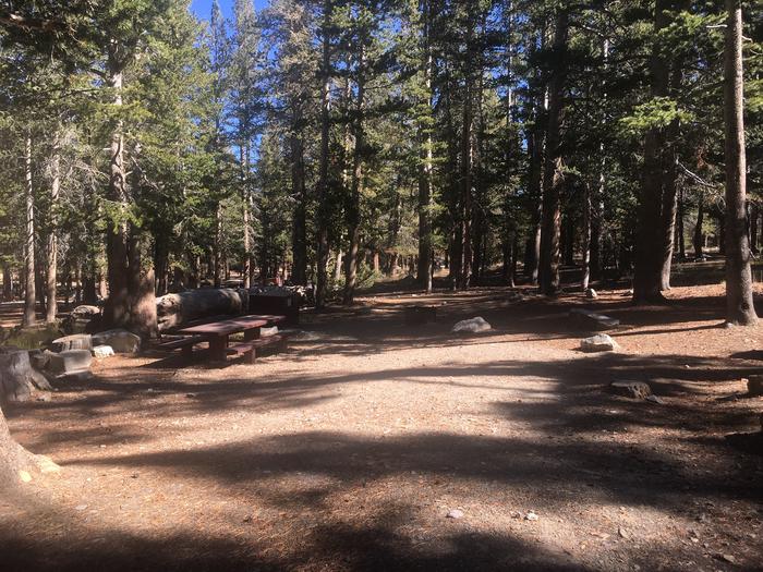 A photo of Site 041 of Loop TRUM at TRUMBULL LAKE with Picnic Table, Fire Pit, Shade, Food Storage, Tent Pad