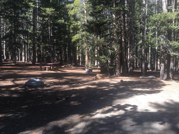 A photo of Site 027 of Loop TRUM at TRUMBULL LAKE with Picnic Table, Fire Pit, Shade, Food Storage, Tent Pad