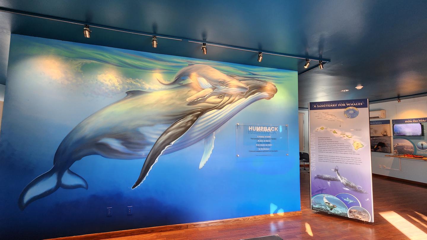 Preview photo of Hawaiian Islands Humpback Whale Kihei Visitor Center