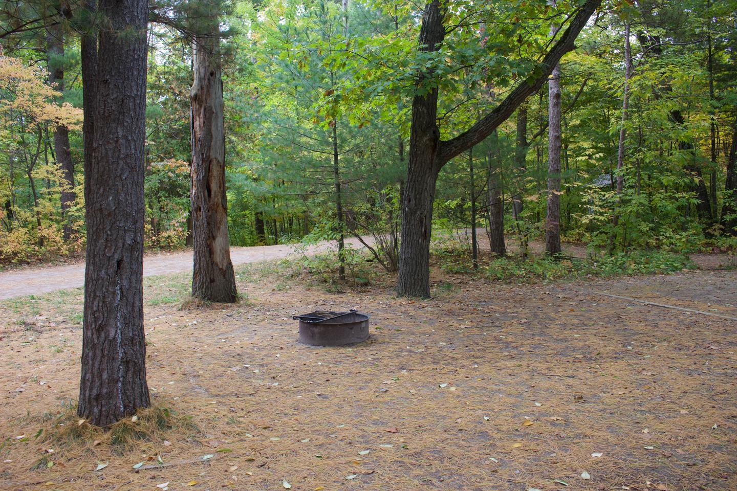 Campsite #46, view from the parking toward the site
