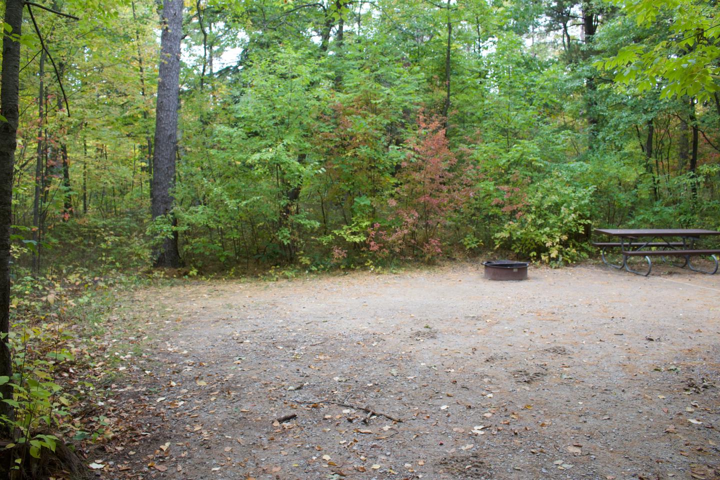 Campsite #47, view from the parking toward the site