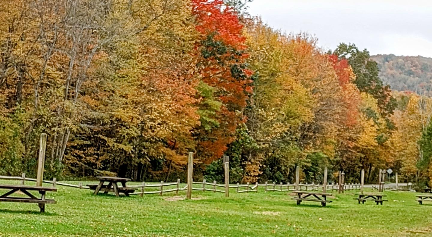 Fox Creek Horse Camp in the Fall
